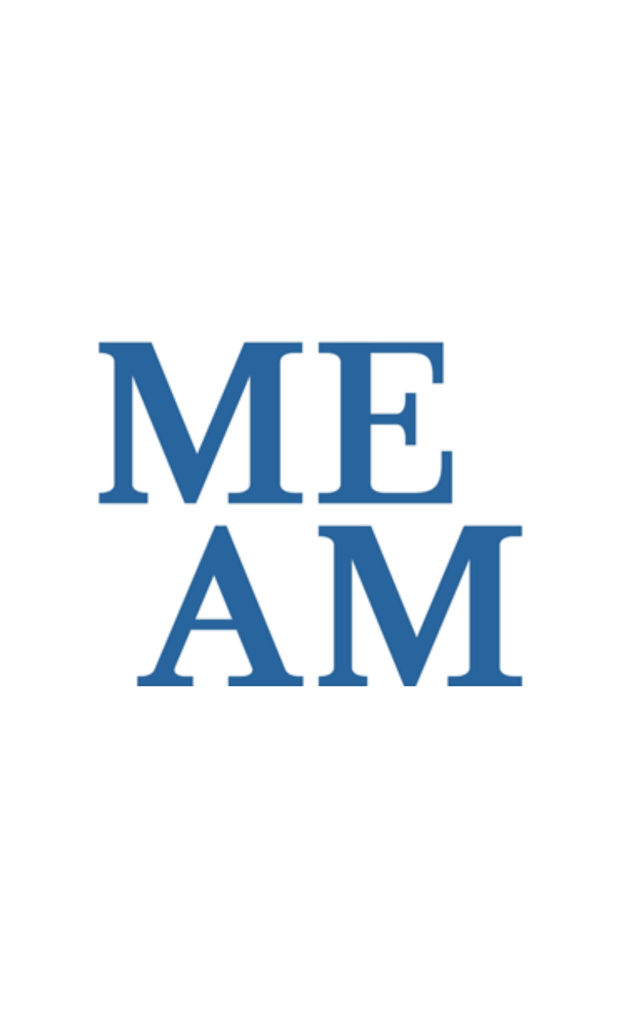 Logo du musée MAEM, il est bleu sur fond blanc