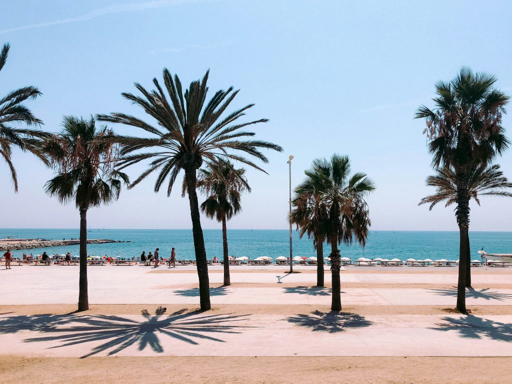 La plage de barceloneta vue depuis l'arrière des palmiers