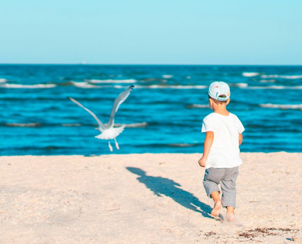 Un jeune enfant sur une plage de sable fin et sous un beau soleil qui semble essayer de courir après une mouette qui s'envole